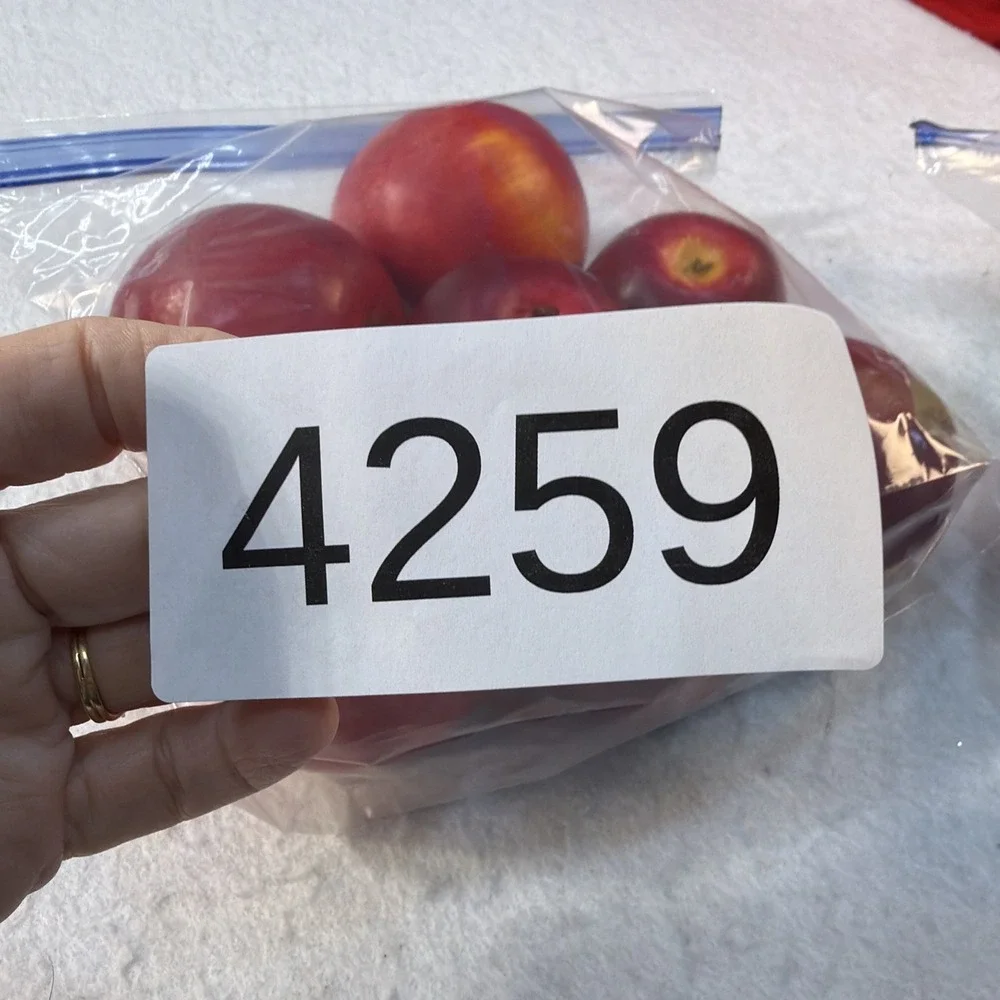 Faux Red Apples Lot of 15 Realistic Decorative Fake Fruit Display Staging Props